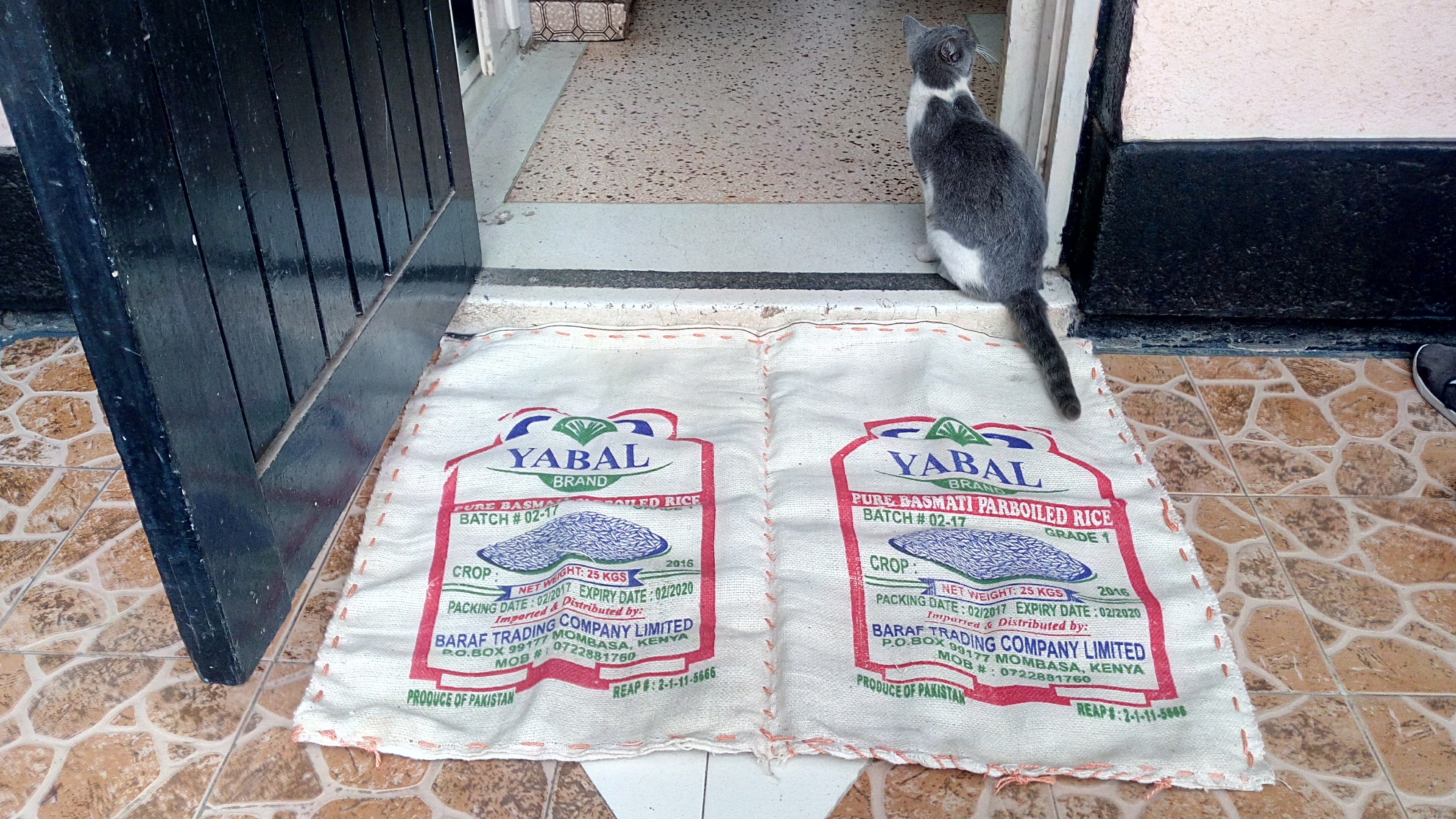 The jute